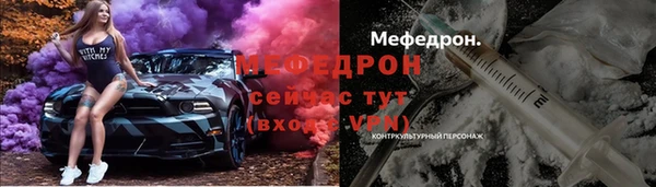 хмурый Аркадак