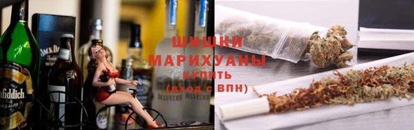 хмурый Аркадак