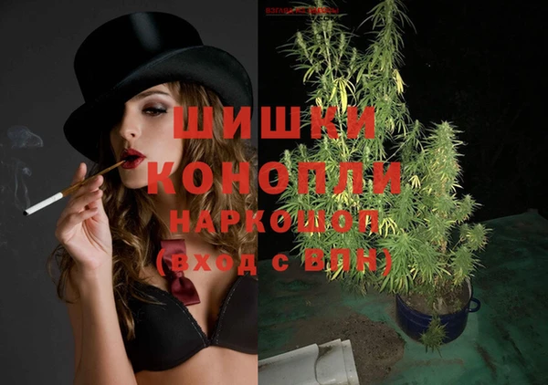 хмурый Аркадак