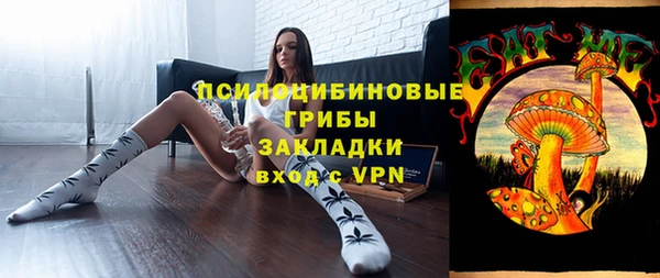 хмурый Аркадак