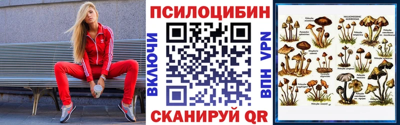 Псилоцибиновые грибы ЛСД  магазин продажи   Свирск 